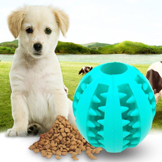 Futter- und Spielball für Hunde